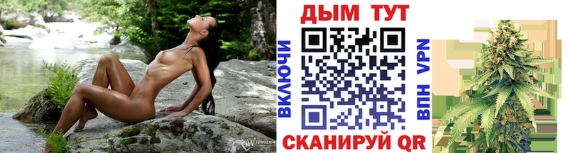 Продажа наркотиков Грозный Альфа ПВП  ссылка на мегу ONION  Кокаин  Меф  ГАШИШ  Марихуана 