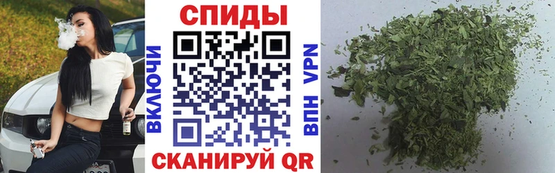 закладка  Грозный  Бутират BDO 