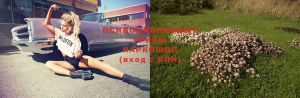 амф Богородск