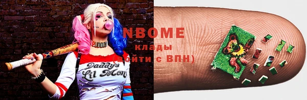 шишки Бородино