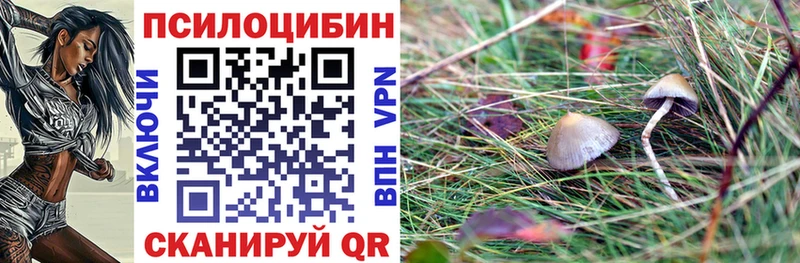мега   Грозный  Псилоцибиновые грибы Magic Shrooms 